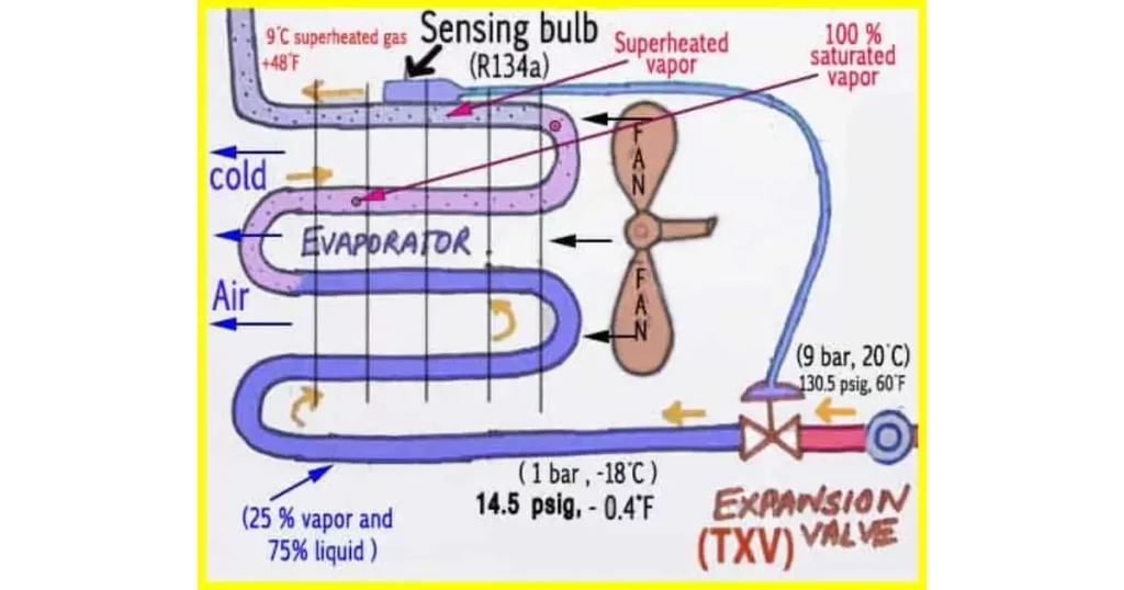 Evaporator